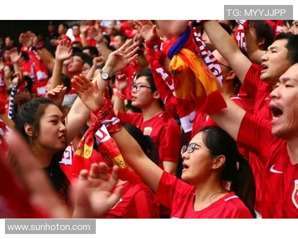 中国足协杯ds赛事回顾与展望球迷热情与球队表现的完美结合