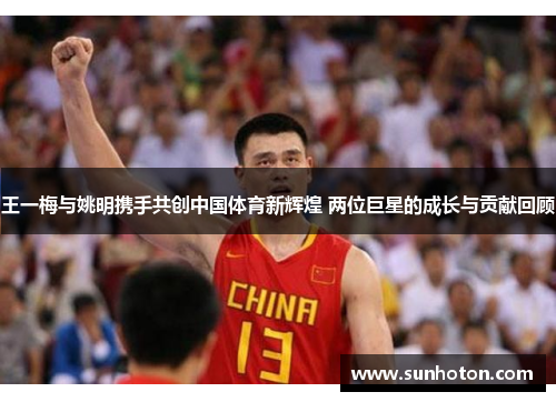 王一梅与姚明携手共创中国体育新辉煌 两位巨星的成长与贡献回顾