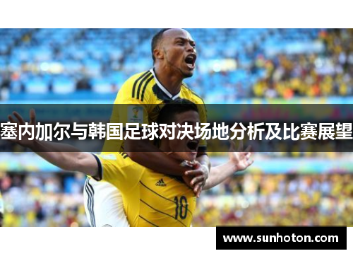 塞内加尔与韩国足球对决场地分析及比赛展望